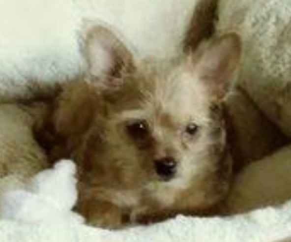 GODWINK KISSES ON THE LIPS