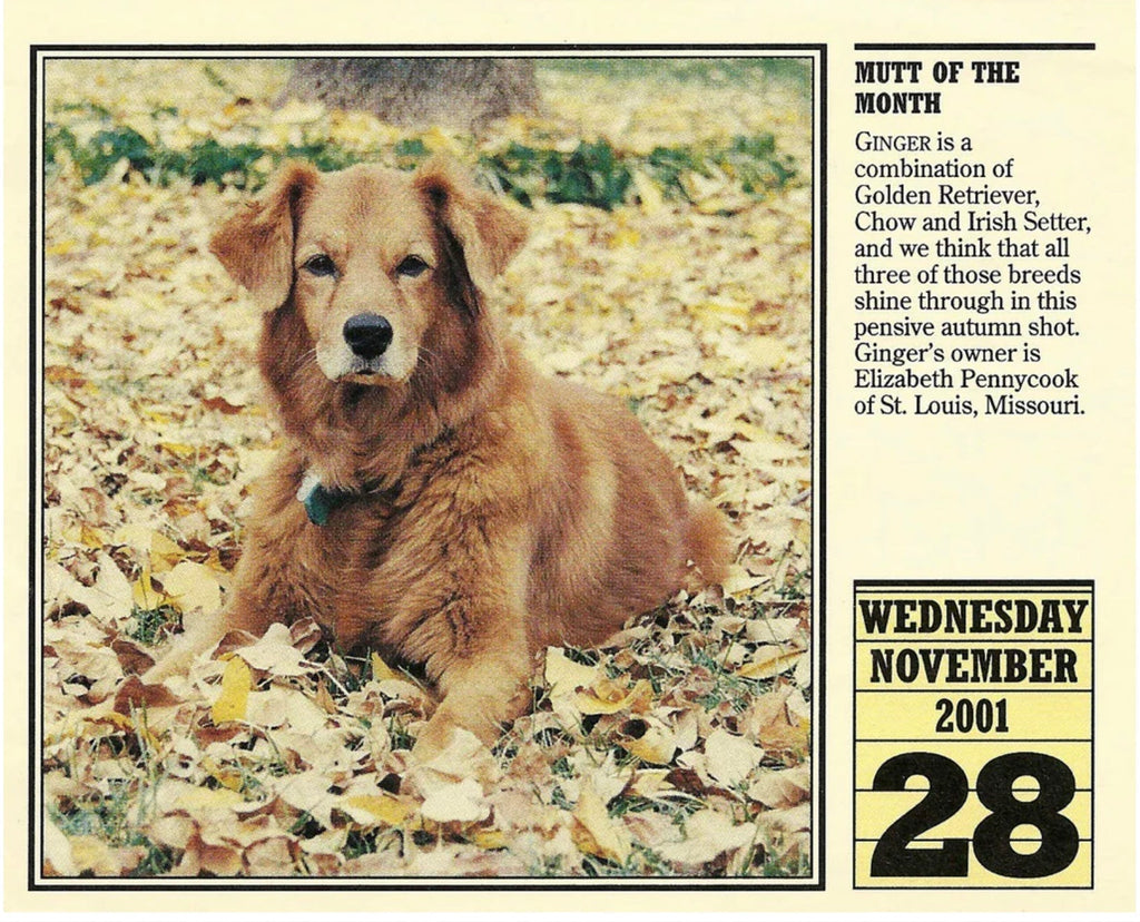 GODWINKS and TREASURED MEMORIES