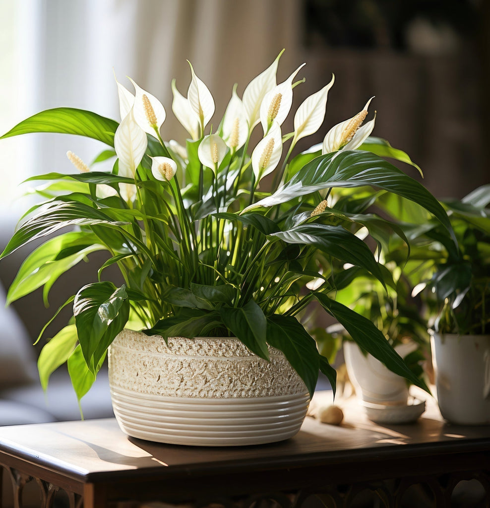 GODWINKS AND PEACE OF MIND