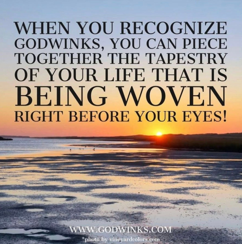 MISSED TURN & REROUTED GPS RESULTS in a LIFE-SAVING GODWINK