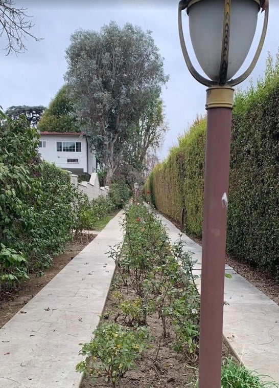 HOW TO FIND GODWINKS? SEEK 'EM