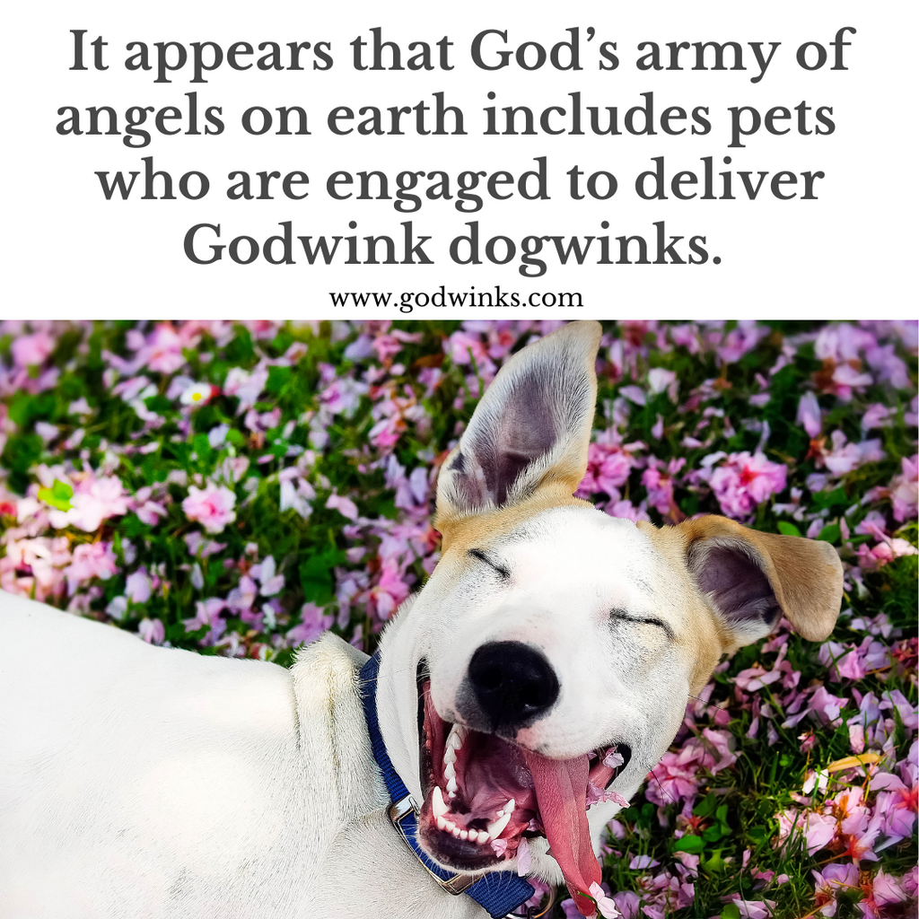 The divine alignment of Godwinks
