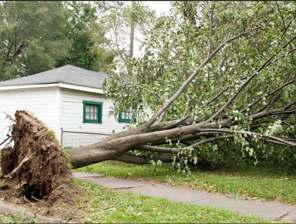 GODWINKS CONFIRM ... HE'S STILL IN CHARGE