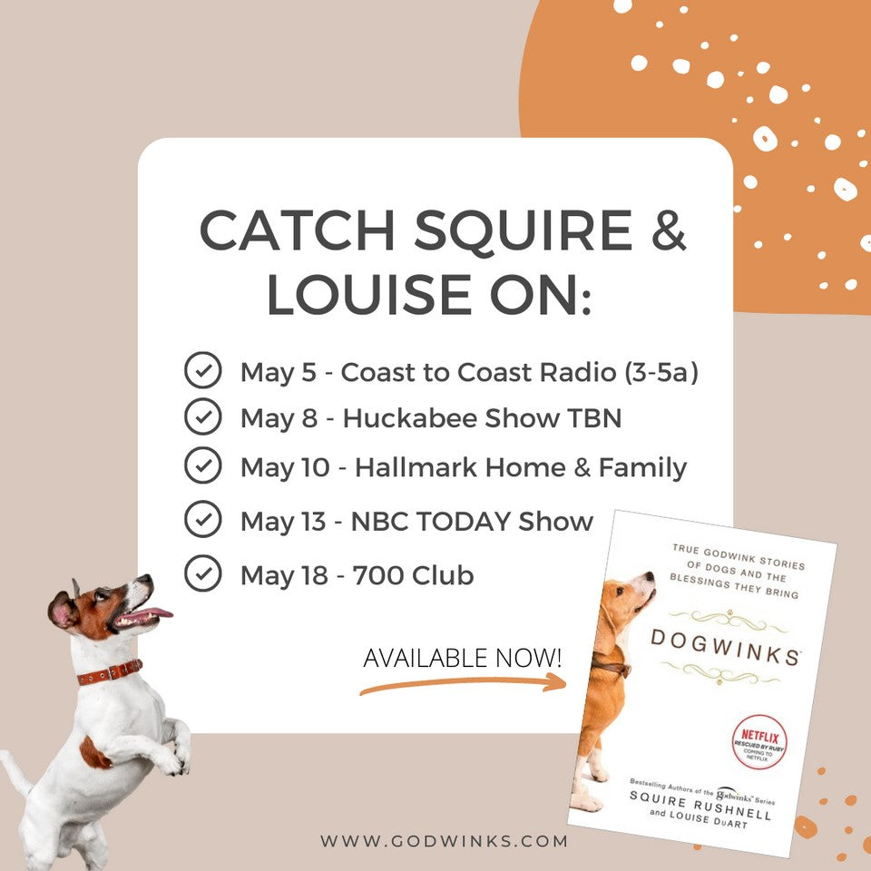 DOGWINK MEDIA APPEARANCES
