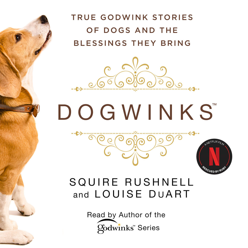 Audiobook Artwork - Dogwinks: True Godwink Stories of Dogs and the Blessings They Bring