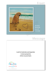 Godwink All Occasion Greeting Cards (12 cards) - Variety Pack