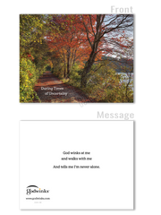 Godwink All Occasion Greeting Cards (12 cards) - Variety Pack