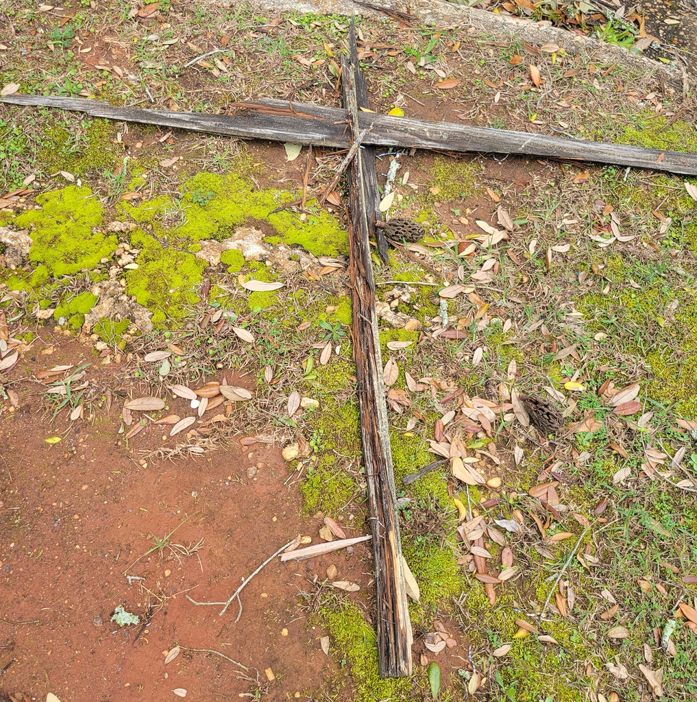 YOUR STORMS BEGET FAITH-BUILDING GODWINKS