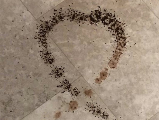 GODWINKS - EVIDENCE OF HIS VISIT