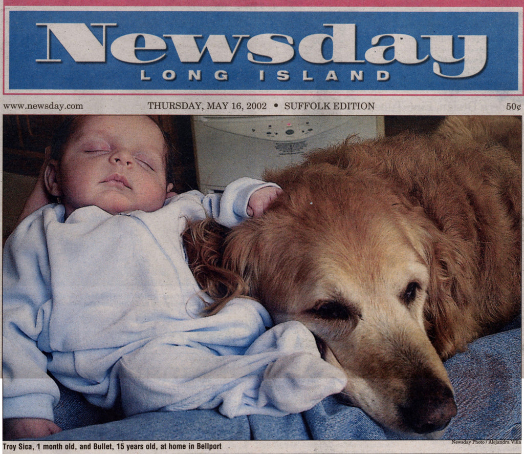 DOGWINK BULLET - OLD DOG SAVED, SAVES BABY