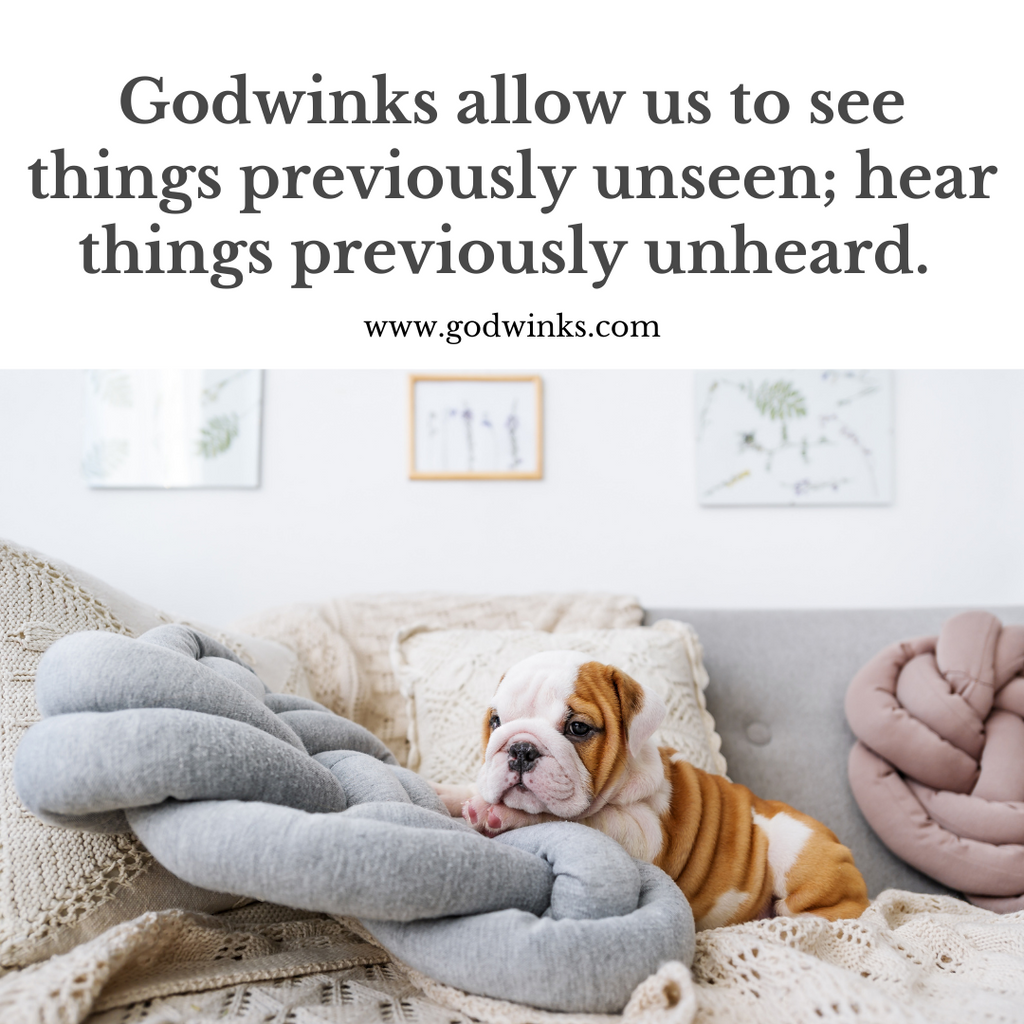 Godwinks allow us to see things....