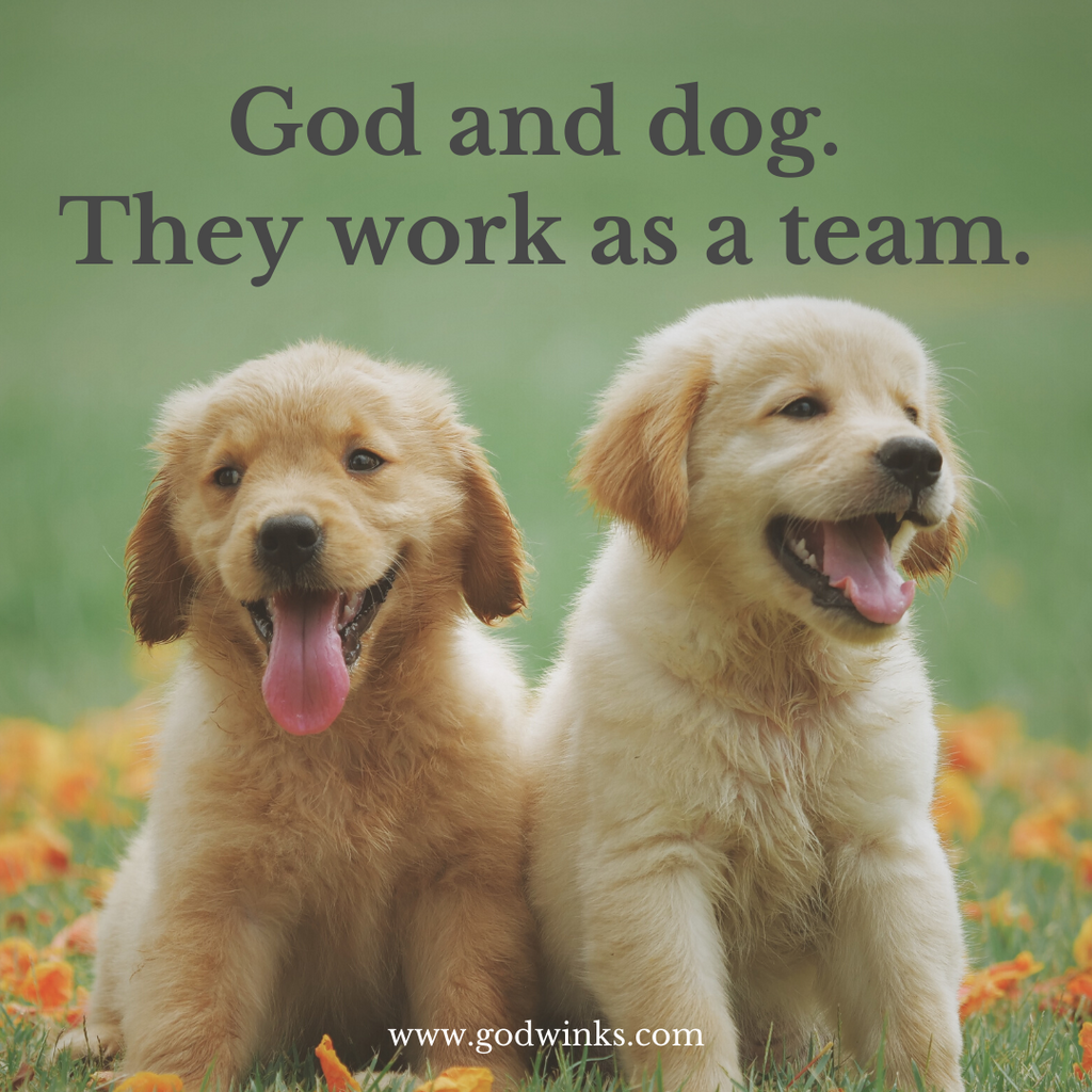 God and dog - they work as a team!