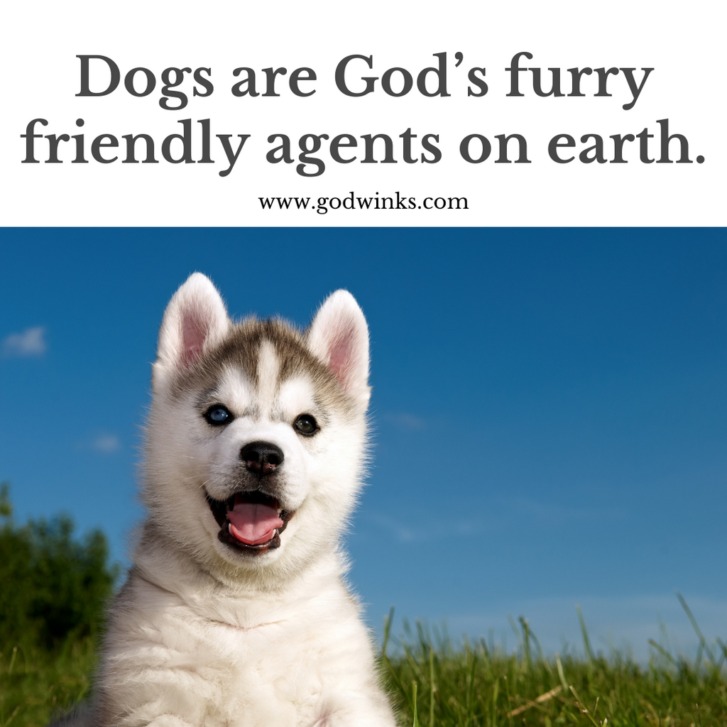 God and Dog work as a team
