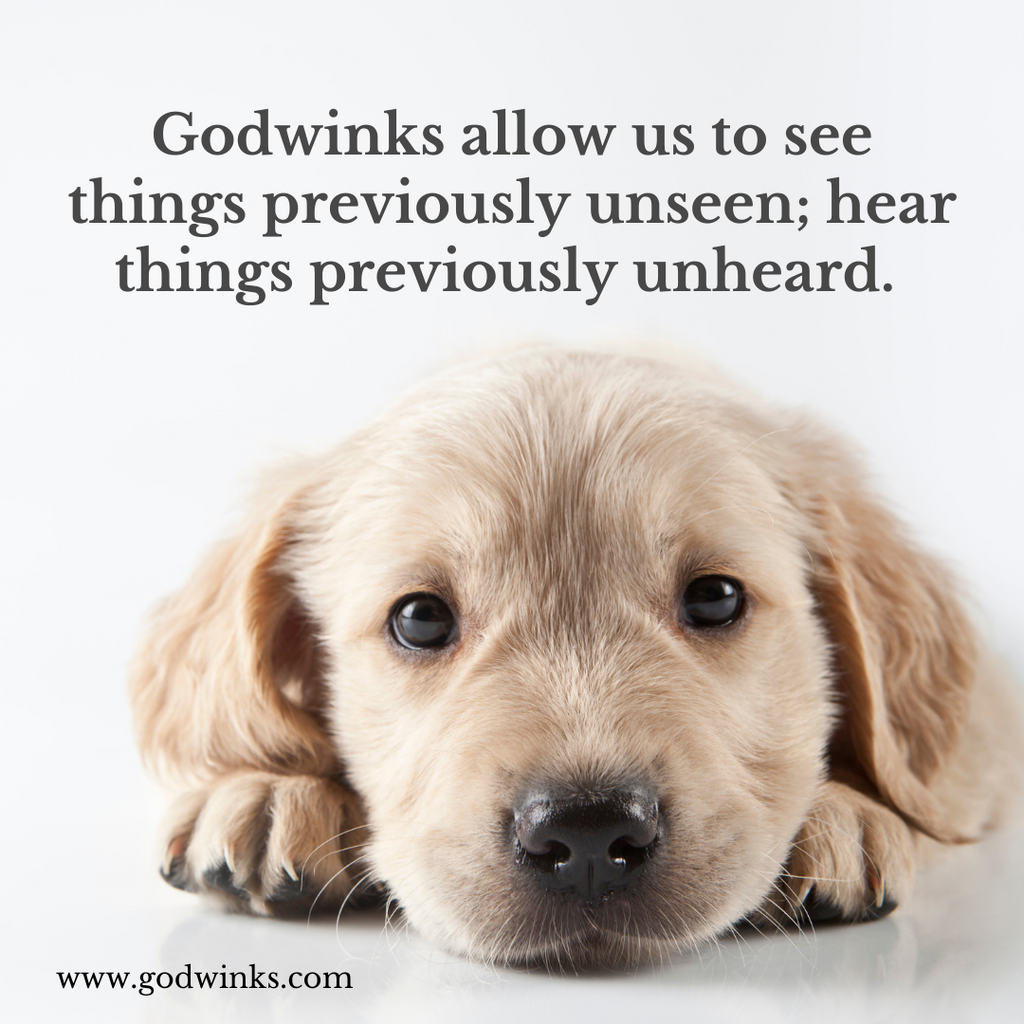 What Godwinks Can Do