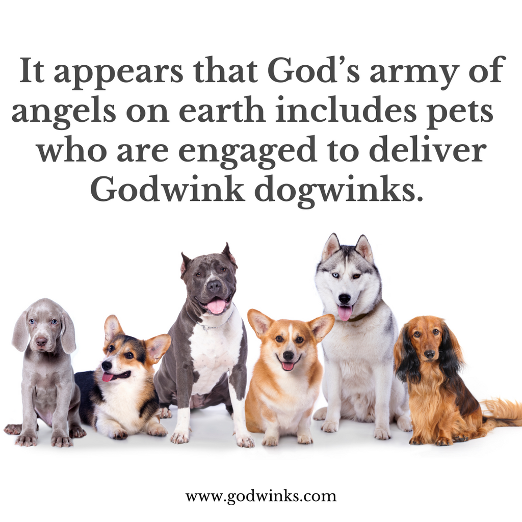 Angels on Earth Deliver Godwinks