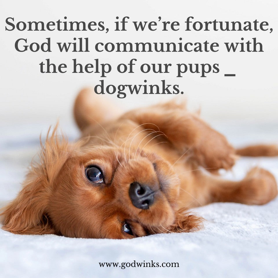 Sometimes God Communicates With the Help of Our Pups!