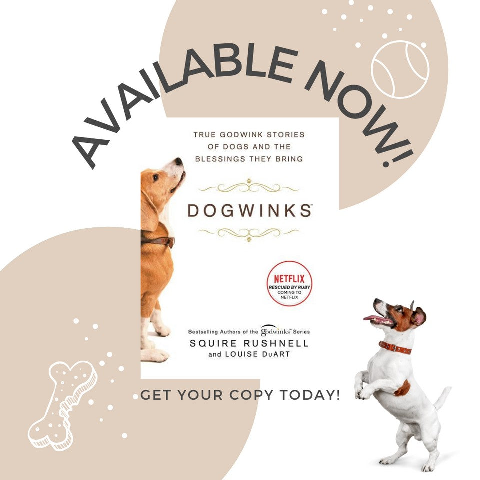 DOGWINKS IS AVAILABLE!