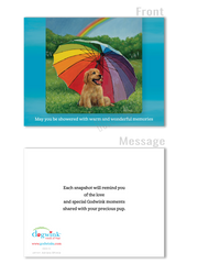 Godwink All Occasion Greeting Cards (12 cards) - Variety Pack